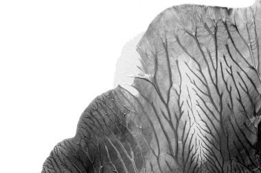 Beyaz kağıda akrilik renkler çizdim ve kağıdı karıştırılmış akrilik renklerin dokusunu oluşturan rorschach mürekkep lekesine benzer şekilde katladım..