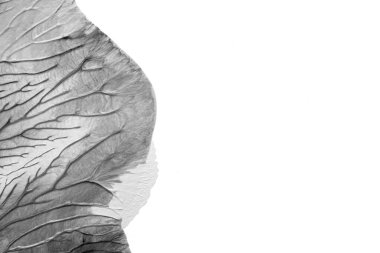 Beyaz kağıda akrilik renkler çizdim ve kağıdı karıştırılmış akrilik renklerin dokusunu oluşturan rorschach mürekkep lekesine benzer şekilde katladım..