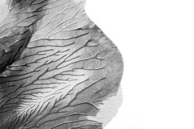 Beyaz kağıda akrilik renkler çizdim ve kağıdı karıştırılmış akrilik renklerin dokusunu oluşturan rorschach mürekkep lekesine benzer şekilde katladım..