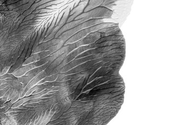 Beyaz kağıda akrilik renkler çizdim ve kağıdı karıştırılmış akrilik renklerin dokusunu oluşturan rorschach mürekkep lekesine benzer şekilde katladım..