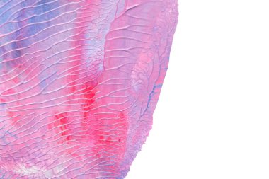 Beyaz kağıda akrilik renkler çizdim ve kağıdı karıştırılmış akrilik renklerin dokusunu oluşturan rorschach mürekkep lekesine benzer şekilde katladım..