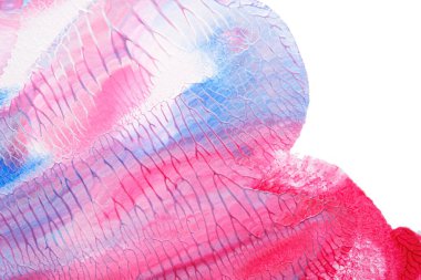 Beyaz kağıda akrilik renkler çizdim ve kağıdı karıştırılmış akrilik renklerin dokusunu oluşturan rorschach mürekkep lekesine benzer şekilde katladım..