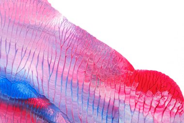 Beyaz kağıda akrilik renkler çizdim ve kağıdı karıştırılmış akrilik renklerin dokusunu oluşturan rorschach mürekkep lekesine benzer şekilde katladım..