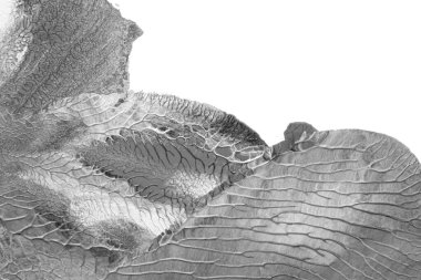 Beyaz kağıda akrilik renkler çizdim ve kağıdı karıştırılmış akrilik renklerin dokusunu oluşturan rorschach mürekkep lekesine benzer şekilde katladım..