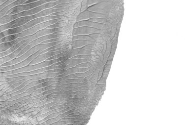 Beyaz kağıda akrilik renkler çizdim ve kağıdı karıştırılmış akrilik renklerin dokusunu oluşturan rorschach mürekkep lekesine benzer şekilde katladım..