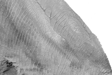 Beyaz kağıda akrilik renkler çizdim ve kağıdı karıştırılmış akrilik renklerin dokusunu oluşturan rorschach mürekkep lekesine benzer şekilde katladım..