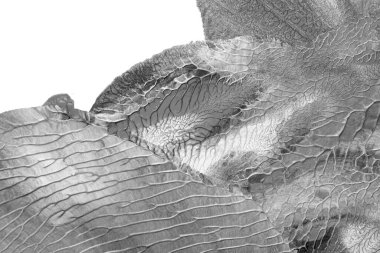 Beyaz kağıda akrilik renkler çizdim ve kağıdı karıştırılmış akrilik renklerin dokusunu oluşturan rorschach mürekkep lekesine benzer şekilde katladım..