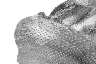 Beyaz kağıda akrilik renkler çizdim ve kağıdı karıştırılmış akrilik renklerin dokusunu oluşturan rorschach mürekkep lekesine benzer şekilde katladım..