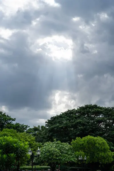 Bereketli Yeşil Ağaçların Üzerinde Güneş Işıklarıyla Dramatik Gökyüzü: Huzur ve Doğal Güzellik Anı