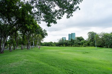 Serene Şehir Parkı 'ndaki Geniş Yeşil Çimen Şehir Arkaplanı