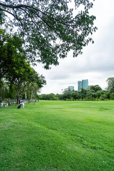 Serene Şehir Parkı 'ndaki Geniş Yeşil Çimen Şehir Arkaplanı