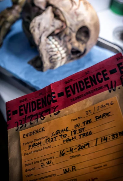 Scientific evidence bag next to human remains in a forensic laboratory, conceptual image