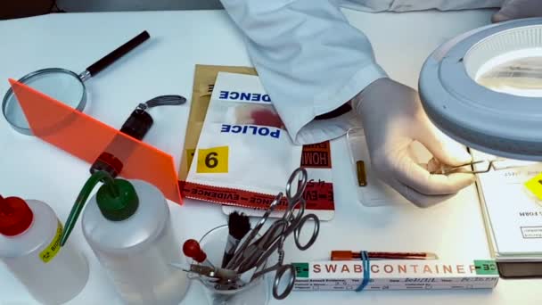 Police Scientifique Examinant Bouchon Balle Laboratoire Balistique Ivideo Conceptuel — Video