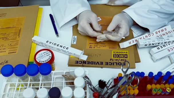 전문가가 실험실 과학자 비디오 분석을 스와브에서 혈액의 흔적을 — 비디오