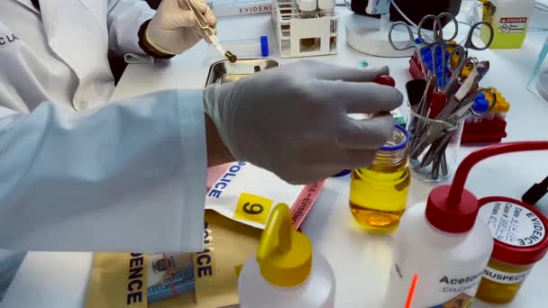 Επιστημονική Αστυνομία Εξετάζει Ένα Κάλυμα Σφαίρας Στο Βαλλιστικό Εργαστήριο Εννοιολογικό — Αρχείο Βίντεο