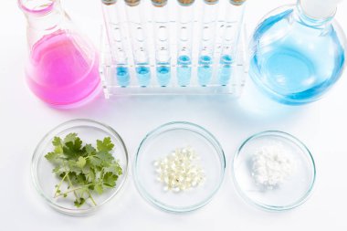 Bilim adamlarının yeni doğal ilaçlar ürettiği laboratuvar çalışmaları..