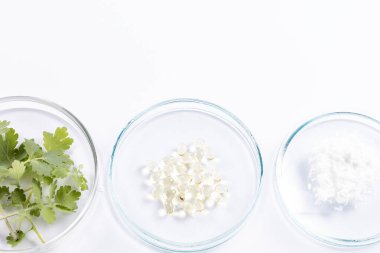 Bilim adamlarının yeni doğal ilaçlar ürettiği laboratuvar çalışmaları..