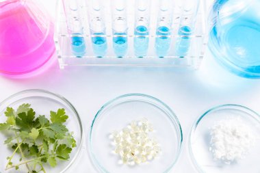 Bilim adamlarının yeni doğal ilaçlar ürettiği laboratuvar çalışmaları..