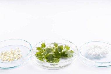 Bilim adamlarının yeni doğal ilaçlar ürettiği laboratuvar çalışmaları.