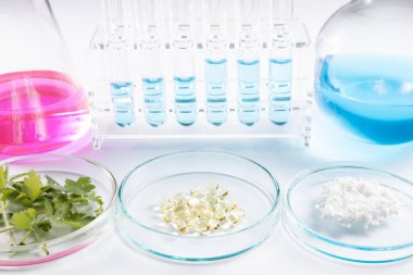 Bilim adamlarının yeni doğal ilaçlar ürettiği laboratuvar çalışmaları.