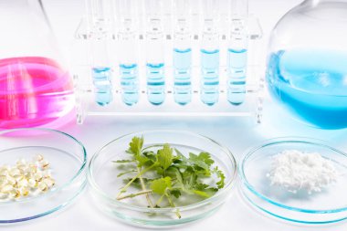 Bilim adamlarının yeni doğal ilaçlar ürettiği laboratuvar çalışmaları.