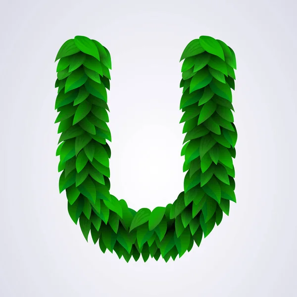 Алфавитные Буквы Свежих Зеленых Листьев Векторная Иллюстрация Буквы — стоковый вектор