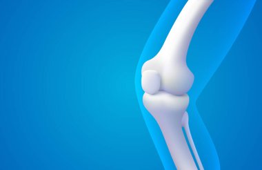 Diz eklemi, bacağın röntgeni, üç boyutlu görselleştirme. Vektör