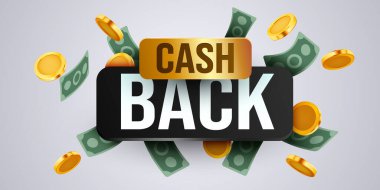 Beyaz arkaplanda nakit para ikonu izole edildi. Nakit veya para iade etiketi. Vektör illüstrasyonu