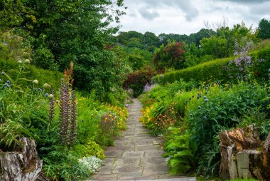 Beautiful garden in a riot of colour during summer, vibrant greens, reds, yellows, and blues. With a pathway running through the middle.
