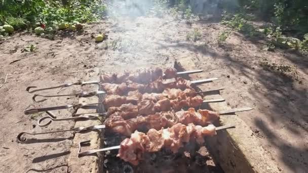 猪肉串 羊圈串在金属串上烧烤 煮一道受欢迎的烤肉 复制空间 在自然界中野餐的概念 美味和脂肪食物 街头食物 — 图库视频影像