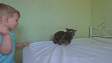 Neşeli, küçük bir çocuk koşar ve evdeki kediyi korkutur. Kopyalama alanı - evcil hayvanlara saygı kavramı, komik anlar, korku, bir kedinin evcilleştirilmesi, ilgi ve şefkat, oyun, eğlence