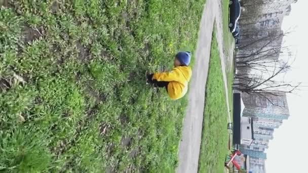 어린이가 노란색 민들레를 검사한다 세대를 자원의 생태학을 연구하는 — 비디오