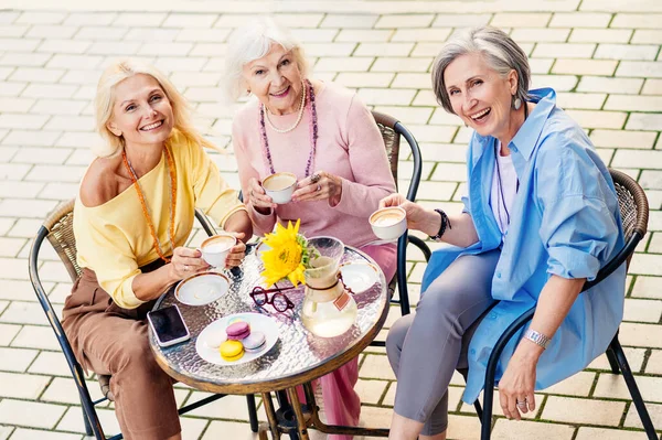 Gruppo Belle Felici Donne Anziane Adulte Incontri All Aperto Incontro — Foto Stock