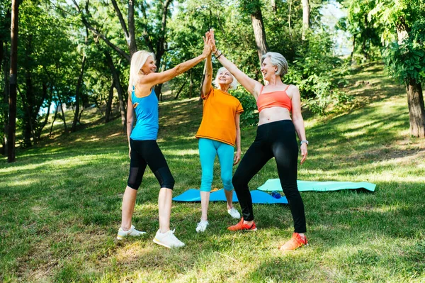 美しいスポーツシニア女性トレーニング屋外のグループ 健康とフィット感を維持するために公園でフィットネスワークアウトの演習を行う成熟した大人の古い友人 — ストック写真