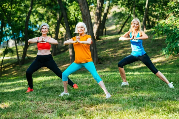 美しいスポーツシニア女性トレーニング屋外のグループ 健康とフィット感を維持するために公園でフィットネスワークアウトの演習を行う成熟した大人の古い友人 — ストック写真
