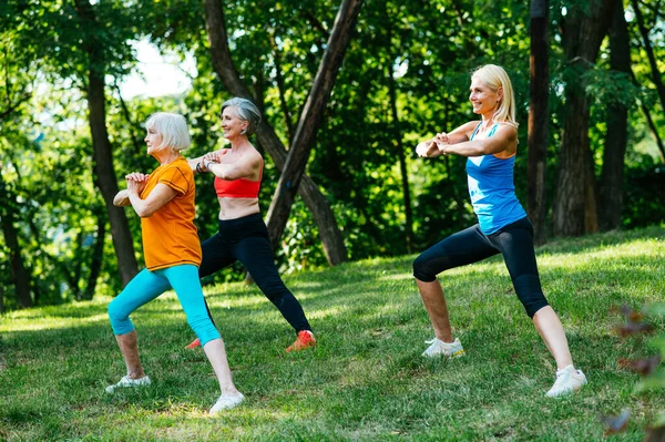 Grup Femei Sportive Frumoase Care Antrenează Aer Liber Adulți Maturi — Fotografie, imagine de stoc