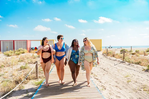 Group Beautiful Size Women Swimwear Bonding Having Fun Beach Group — Foto Stock