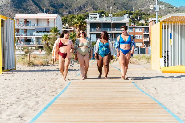 Group Beautiful Size Women Swimwear Bonding Having Fun Beach Group — Stock Photo, Image