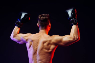 Stüdyoda kaslı vücut eğitimi almış atletik bir adam aktif bir adam spor yapıyor, renkli ışıklandırma ve arka plan, fitness, spor ve sağlık yaşam tarzı konseptleri