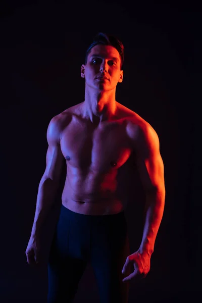 Pria Atletik Dengan Pelatihan Tubuh Berotot Yang Sesuai Studio Pria — Stok Foto