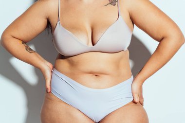 Ayrıca stüdyo içinde iç çamaşırlarıyla poz veren cüsseli bir kadın. Beyaz arka planda bir model. Hard Light stüdyo çekimi