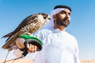 Ortadoğulu bir adam çölde geleneksel emirati Arap kandurası giyiyor ve Dubai 'deki kum tepelerinde Arap Müslüman bir şahin kuşu tutuyor.
