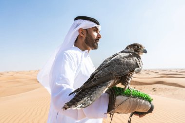 Ortadoğulu bir adam çölde geleneksel emirati Arap kandurası giyiyor ve Dubai 'deki kum tepelerinde Arap Müslüman bir şahin kuşu tutuyor.
