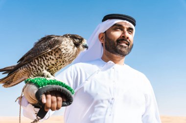 Ortadoğulu bir adam çölde geleneksel emirati Arap kandurası giyiyor ve Dubai 'deki kum tepelerinde Arap Müslüman bir şahin kuşu tutuyor.