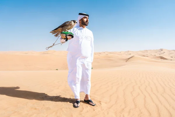 砂漠で伝統的なエミレーツ アラブ カンドゥラを身に着けている中東の男と鷹の鳥を保持 ドバイの砂丘でアラブのイスラム教徒の大人の人 — ストック写真