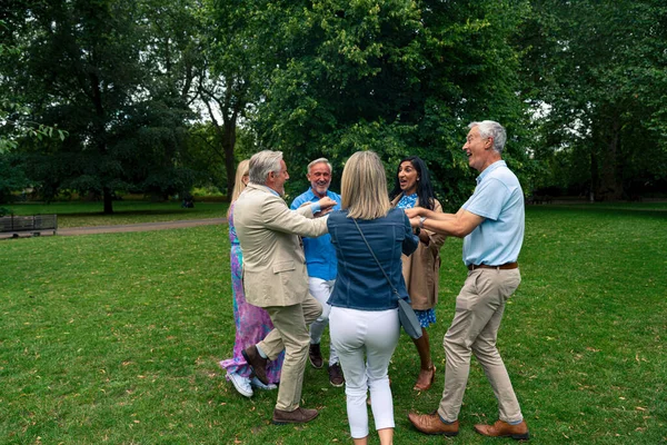 Londra 'nın ana kısımlarında, Westminster bölgesini ve St. James Park' ı ziyaret eden bir grup eski dost. Eski dostlar buluşması. Üçüncü yaş ve kıdem kavramları