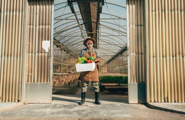 Çiftliğinde ve serasında çalışan kıdemli çiftçi. Kıdem yaşı boyunca tarım, farn endüstrisi ve sağlıklı yaşam tarzı kavramları