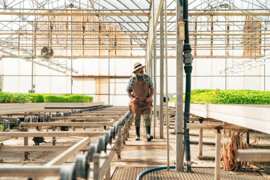Çiftliğinde ve serasında çalışan kıdemli çiftçi. Kıdem yaşı boyunca tarım, farn endüstrisi ve sağlıklı yaşam tarzı kavramları