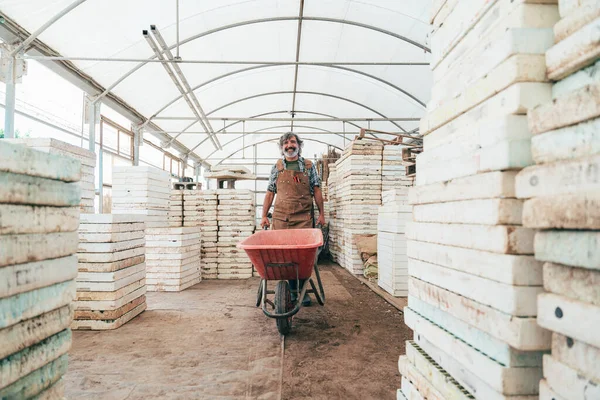 Çiftliğinde Serasında Çalışan Kıdemli Çiftçi Kıdem Yaşı Boyunca Tarım Farn — Stok fotoğraf