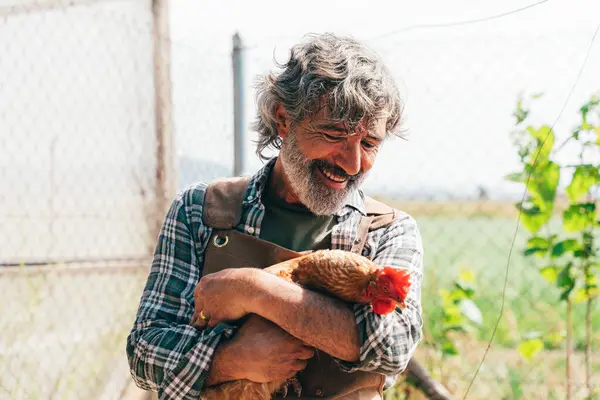 Contadino Anziano Che Lavora Nella Sua Fattoria Serra Concetto Agricoltura — Foto Stock